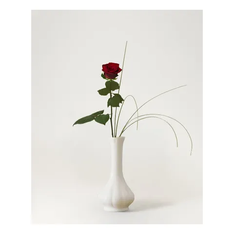 En röd ros med grönt, Interflora
