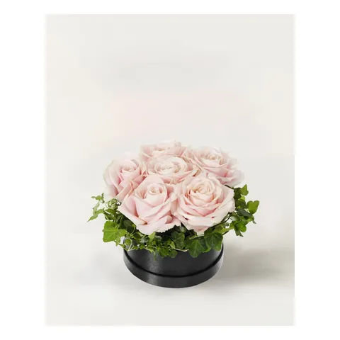 Rosa rosboxen, Interflora