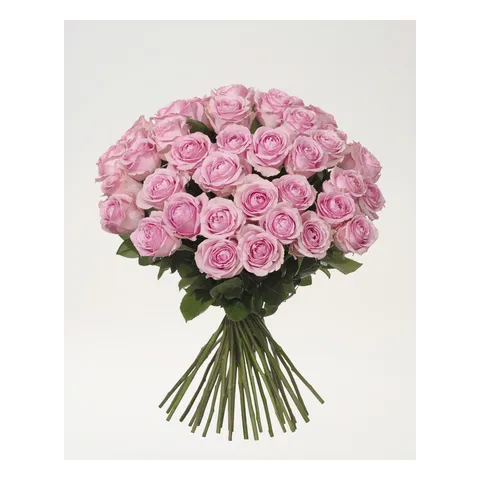 Fyrtio rosa premiumrosor, Interflora