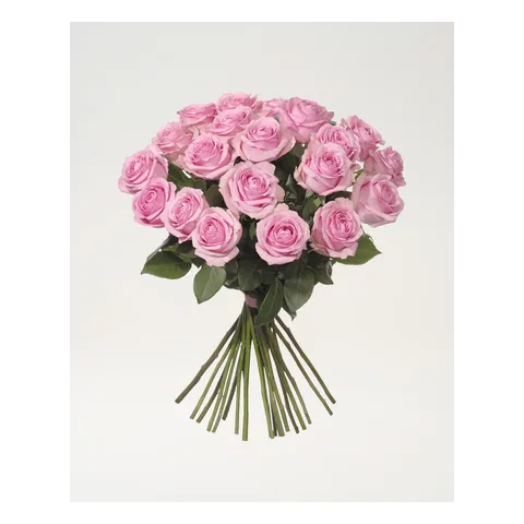 Tjugo rosa premiumrosor, Interflora