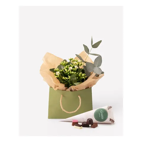 Grattispåsen, Interflora