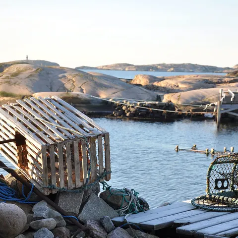 Kräftfiske för två