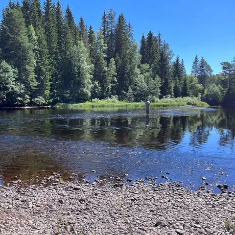 Flugfiskekurs