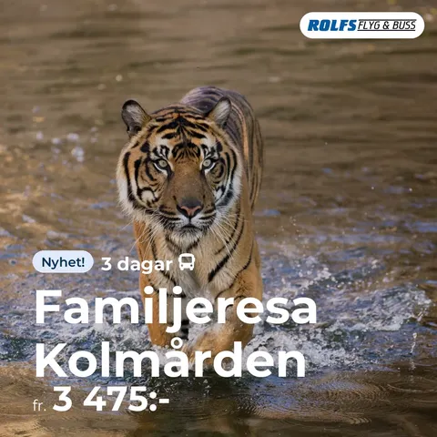 Familjeresa till Kolmården, Rolfs