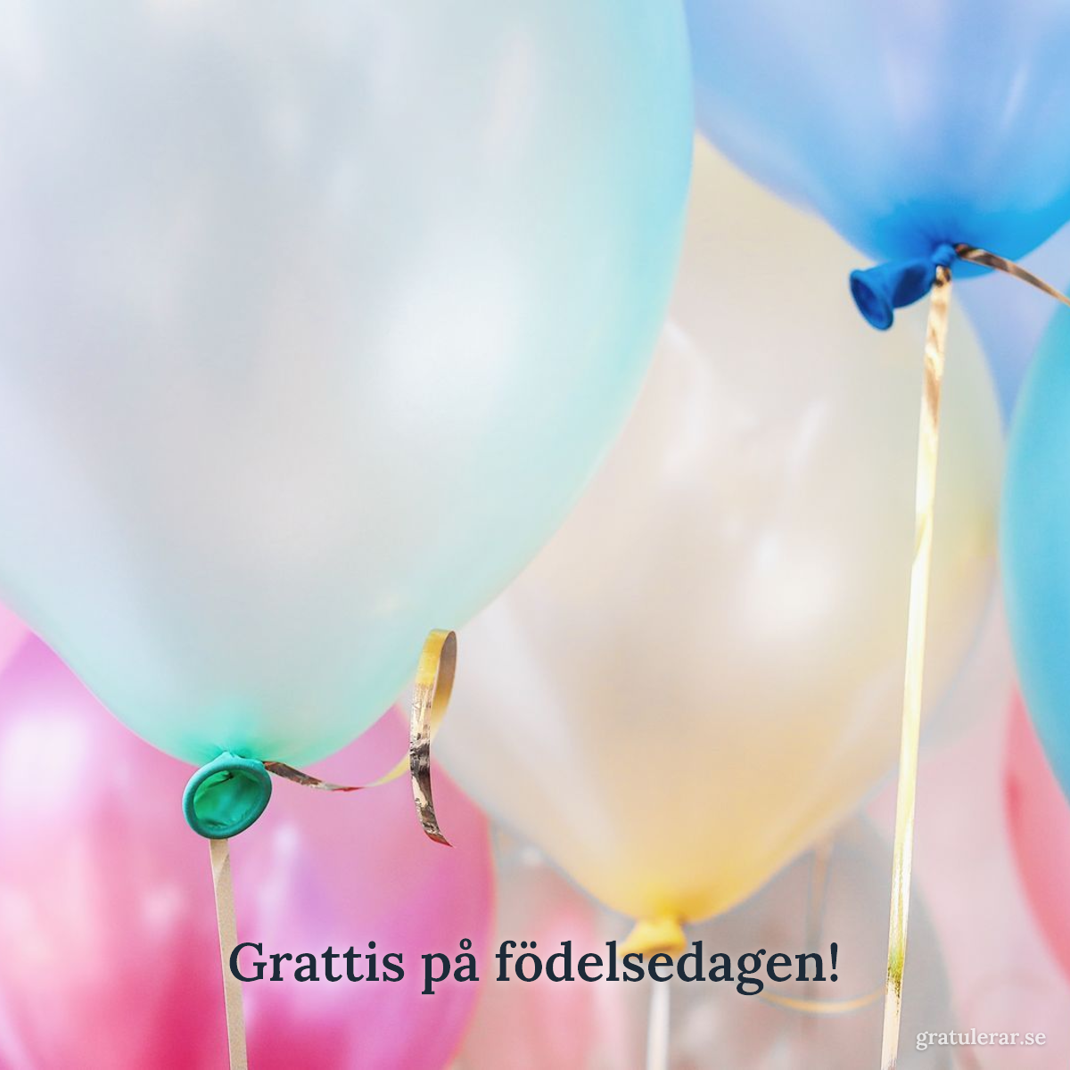 Förhandsvisning av ditt kort