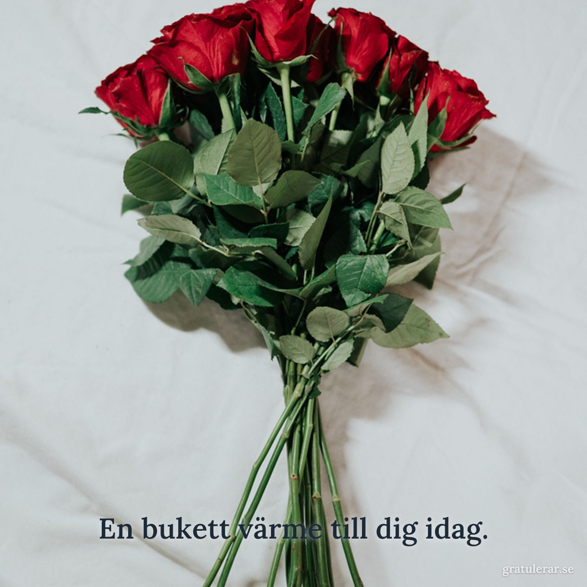Förhandsvisning av ditt kort