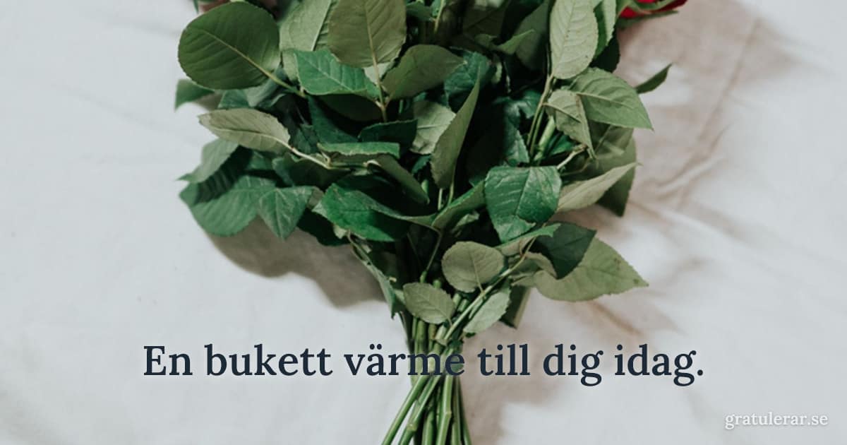 Bukett röda rosor på ljust tyg — klassisk gratulationsbukett