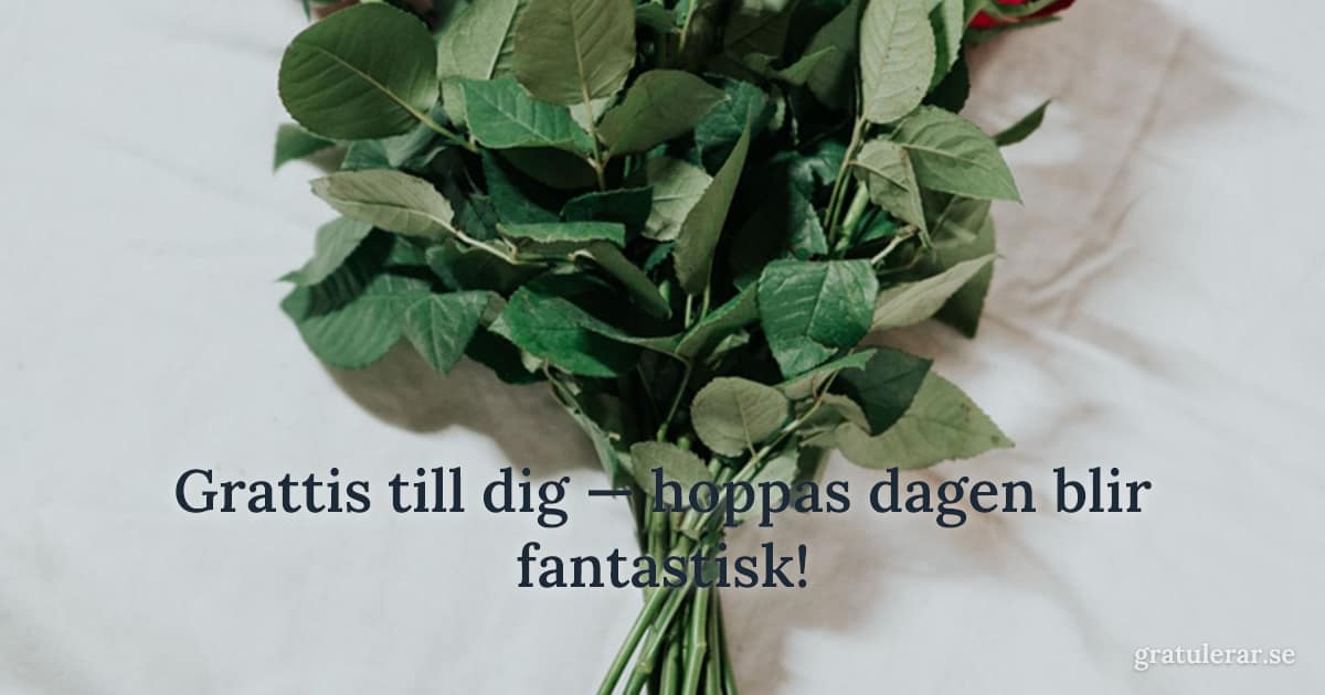 Grattis till dig — hoppas dagen blir fantastisk! — Bukett röda rosor på ljust tyg — klassisk gratulationsbukett