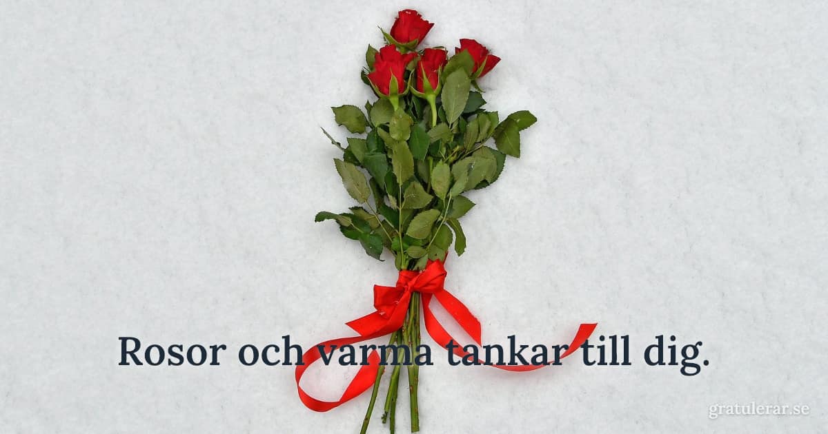 Liten bukett röda rosor med rött sidenband mot snö