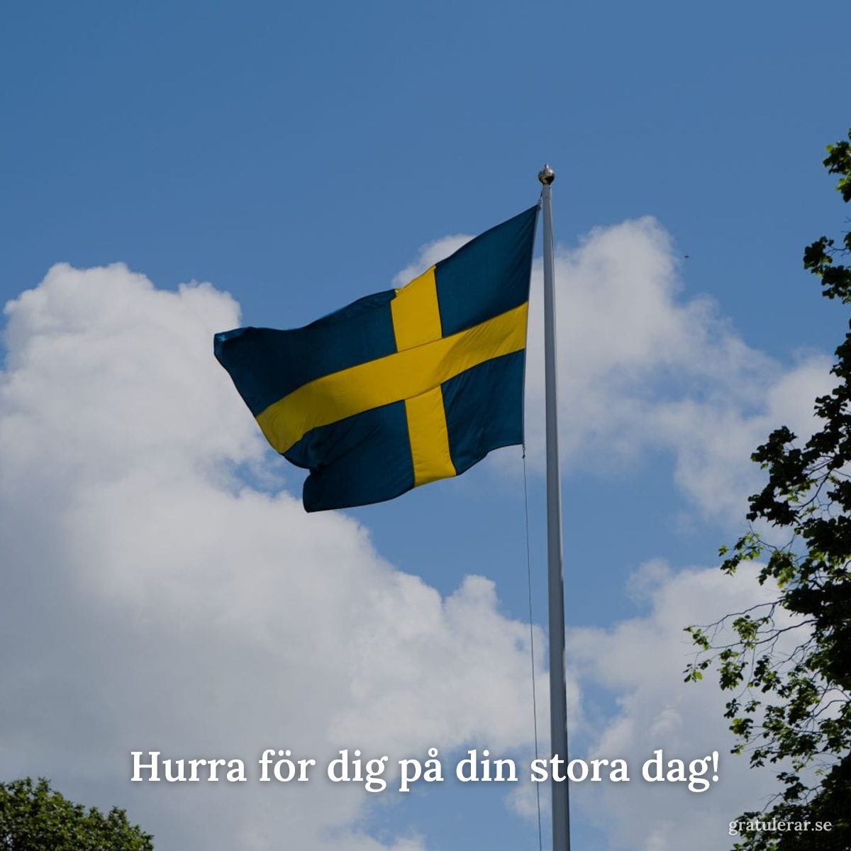 Förhandsvisning av ditt kort