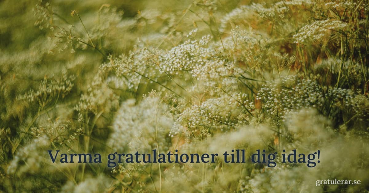 Blommig sommaräng i mjukt solljus — svensk sommarstämning för kortet
