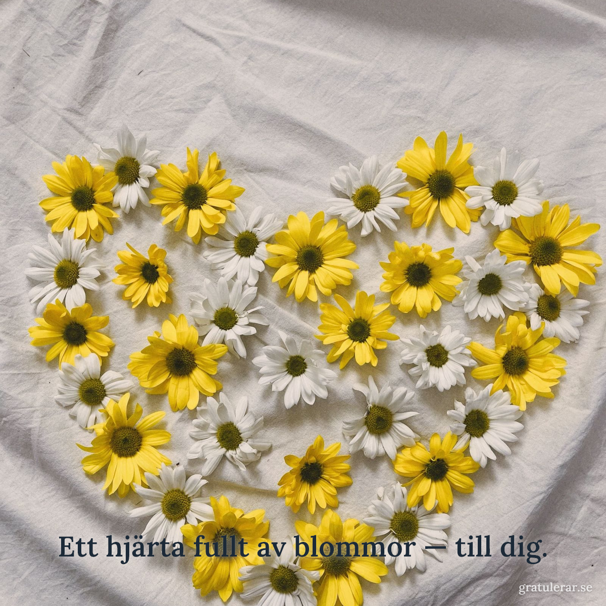 Förhandsvisning av ditt kort