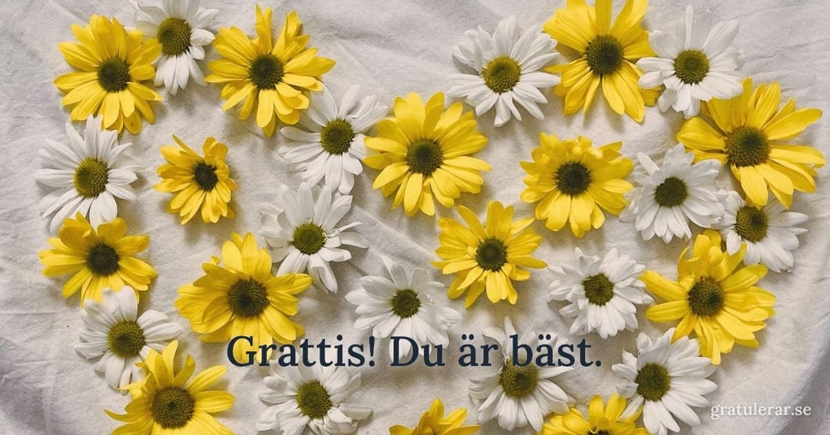 Grattis! Du är bäst. — Tusenskönor i hjärtform på vitt tyg — kärleksfull blomsterkomposition