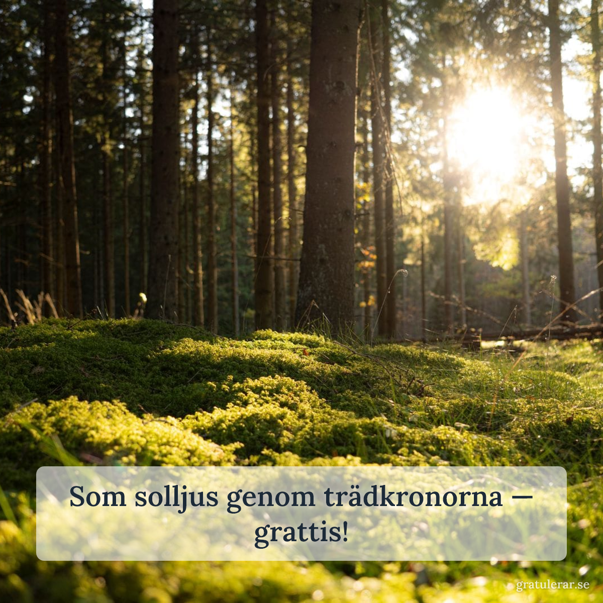 Förhandsvisning av ditt kort