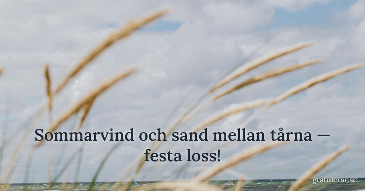 Strandgräs i vinden med hav i bakgrunden — sommarkänsla