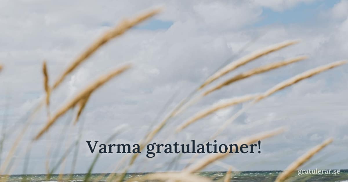 Varma gratulationer! — Strandgräs i vinden med hav i bakgrunden — sommarkänsla