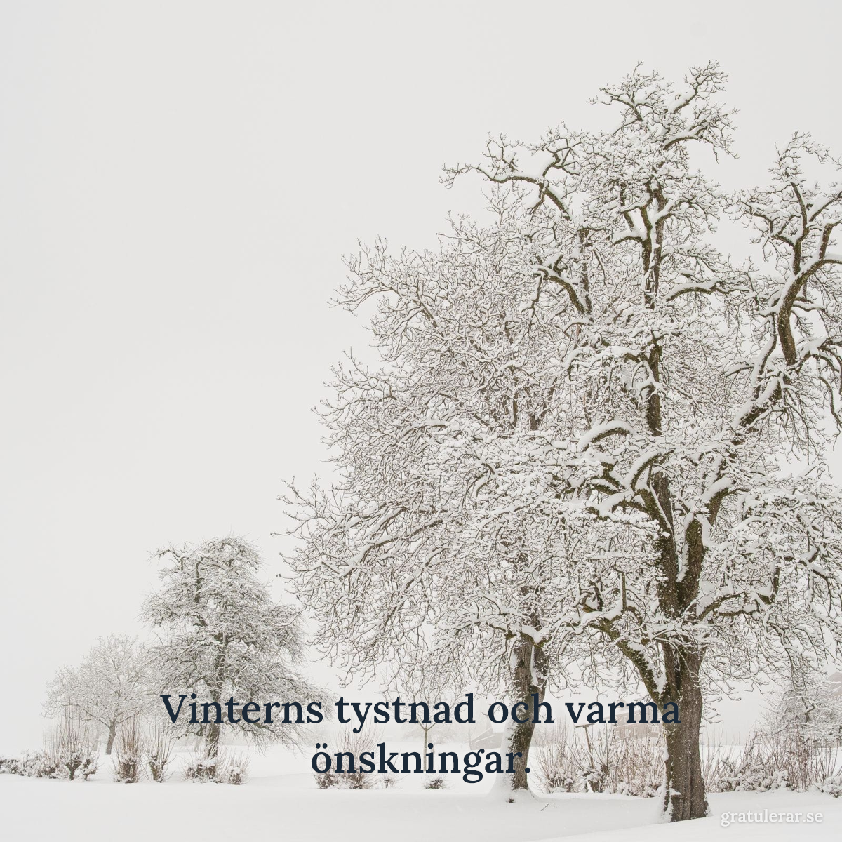 Förhandsvisning av ditt kort