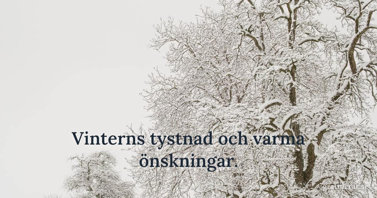 Snötäckta träd mot ljusgrå himmel — stilla vinterlandskap
