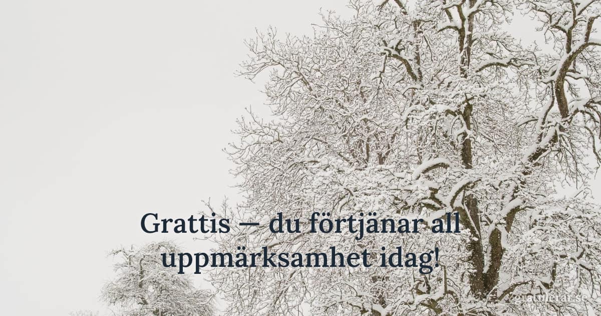 Grattis — du förtjänar all uppmärksamhet idag! — Snötäckta träd mot ljusgrå himmel — stilla vinterlandskap