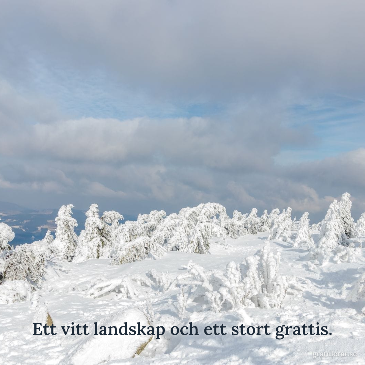 Förhandsvisning av ditt kort