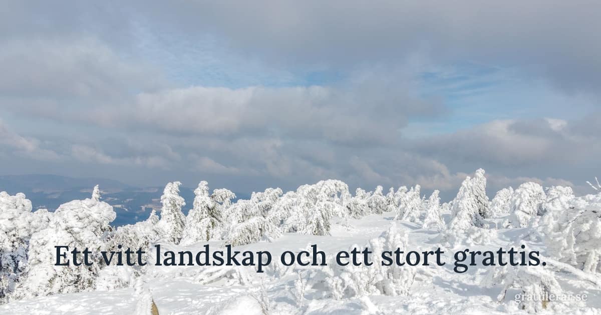 Vintrigt bergslandskap med frostiga träd och moln