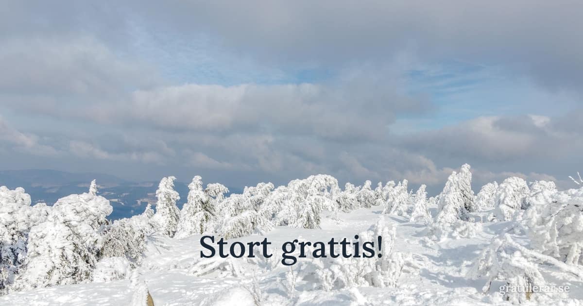 Stort grattis! — Vintrigt bergslandskap med frostiga träd och moln