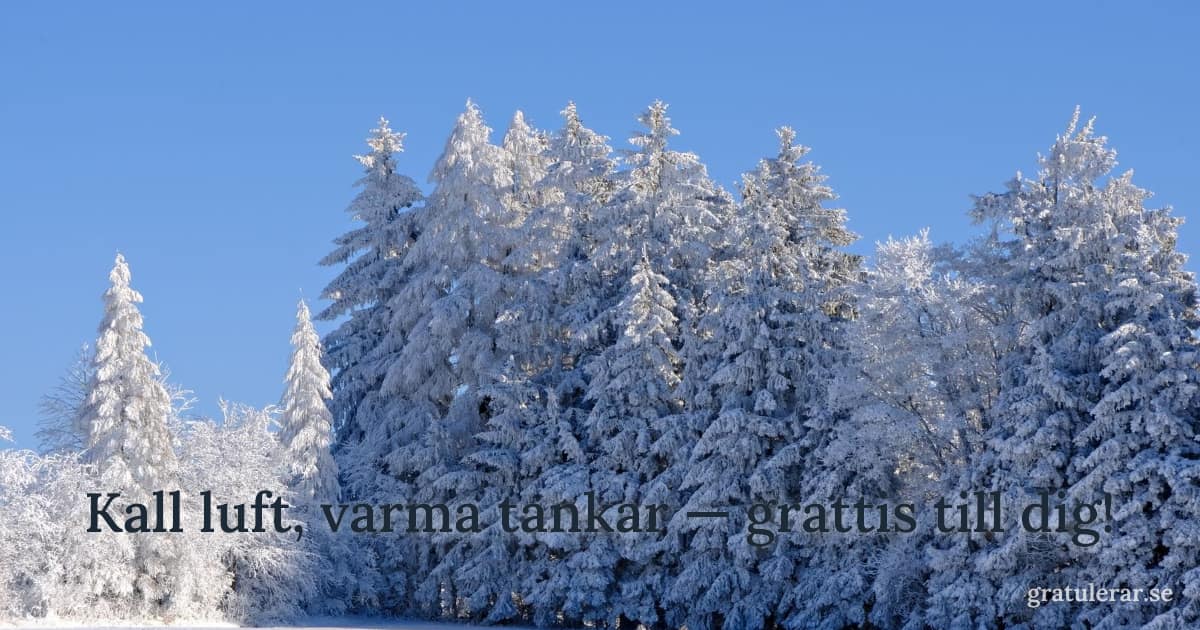 Snötäckta granar mot klarblå vinterhimmel